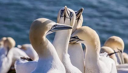 fb体育官网首页-融合“足球+科技+文化”多元产业链在行业中不断深化，体教融合足球