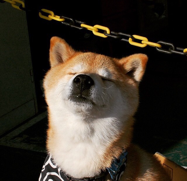 fb体育官网首页-希腊队在比赛中获得令人惊讶的胜利，希腊队在比赛中获得令人惊讶的胜利英语