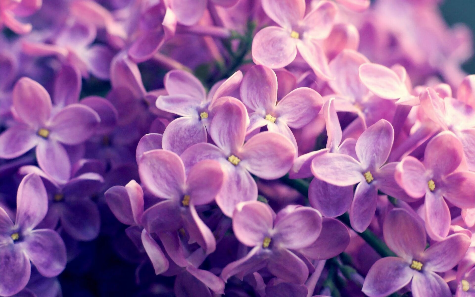 fb体育官网首页-梅诺尔卡客场不敌对手，需调整阵容，梅尔诺葡萄酒口感