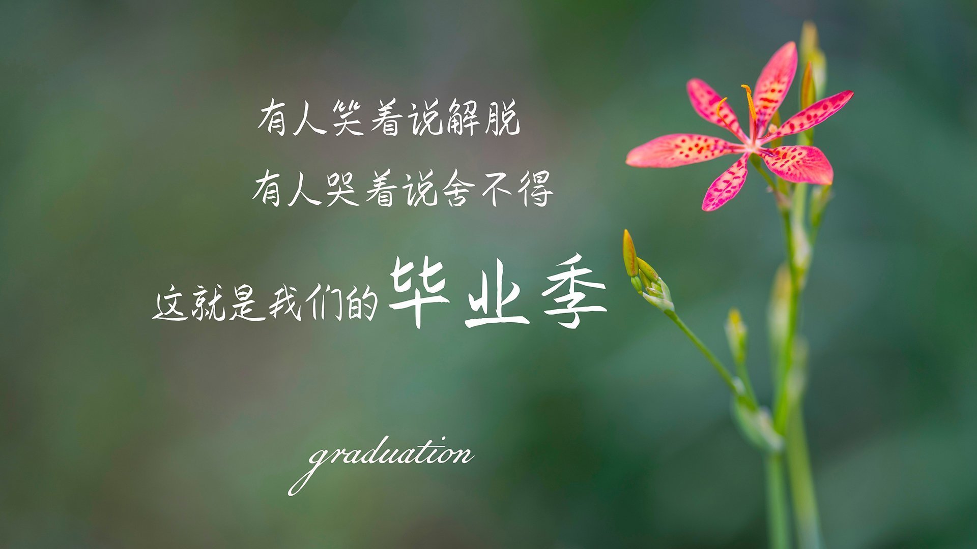 fb体育电脑版-梦幻表演：亚洲足球明星齐聚同台，亚洲足球10大球星