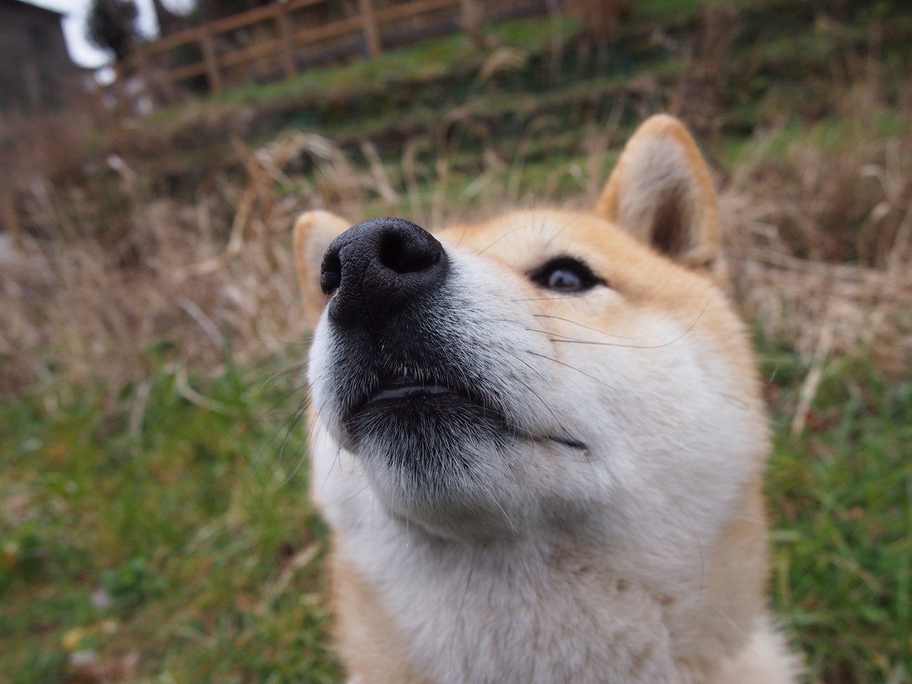 fb体育赛事平台-篮网队投资北美顶尖电竞俱乐部，篮网队在美国哪里