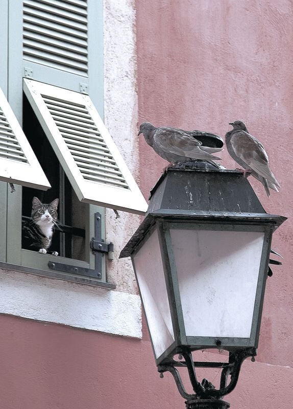 fb体育电脑版-乒乓球世界排名更新，中国队占据前列，乒乓球世界排名如何