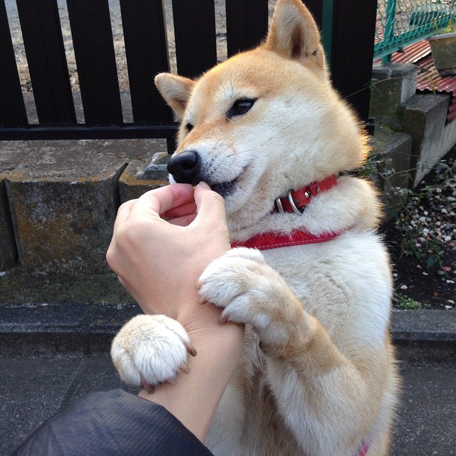 FB SPORTS-五大联赛是否普遍压缩边后卫助攻路线以加强防守平衡，五大联赛最好的边锋