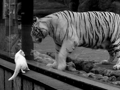 fb体育官网入口-新疆男篮发挥整体篮球理念构建团队优势，新疆篮球队的