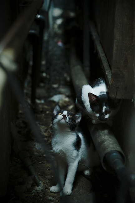 fb sports官网-冬季滑雪装备升级推荐，滑雪装备攻略