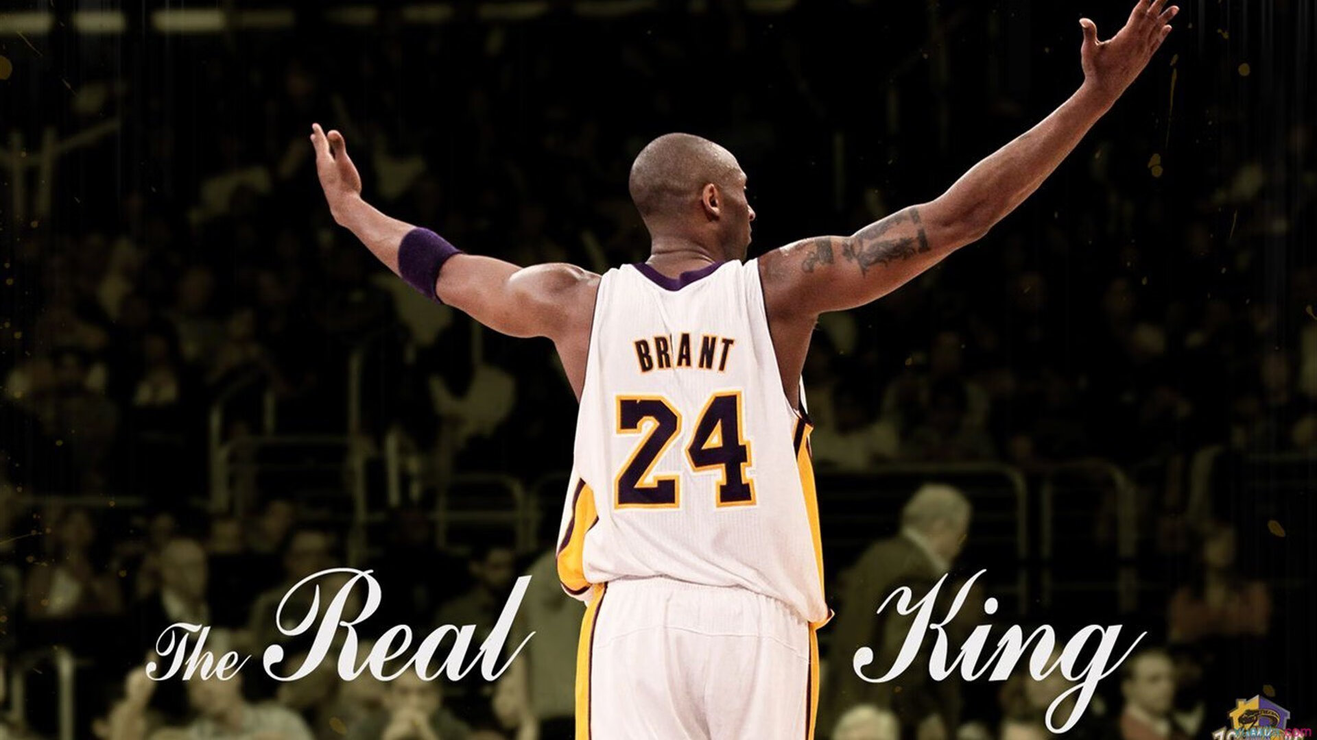 WRC地中海赛：风景如画但赛道艰难险阻，地中海俱乐部百科